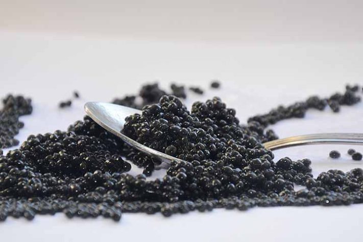 Caviar, a iguaria de luxo