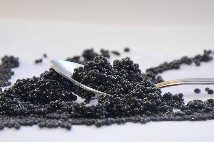 O alto custo do caviar é resultado direto dessa combinação de fatores: raridade do esturjão, tempo longo de maturação do peixe (pode levar anos para produzir ovas) e complexidade do processo de extração e conservação. em alguns momentos, a pesca ilegal e o contrabando também contribuíram para inflacionar o produto.