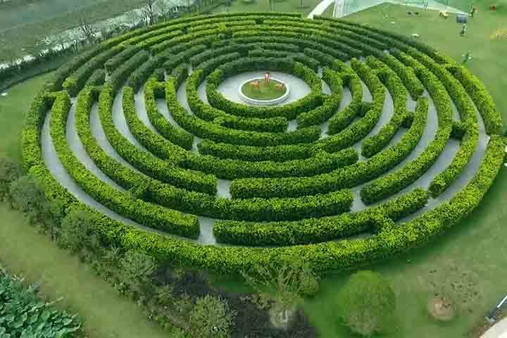 O labirinto é também um espaço fotogênico. Suas linhas verdes, vistas aéreas e torres de observação criam cenários ideais para registros visuais que encantam visitantes e redes sociais.