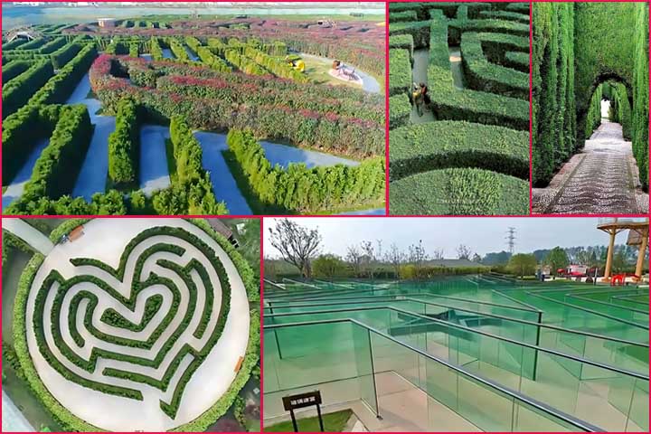 O Yancheng Dafeng Dream Maze tornou-se, além uma atração turística, símbolo da cidade. Ele representa inovação, respeito à natureza e a capacidade de criar experiências únicas que unem lazer e cultura.