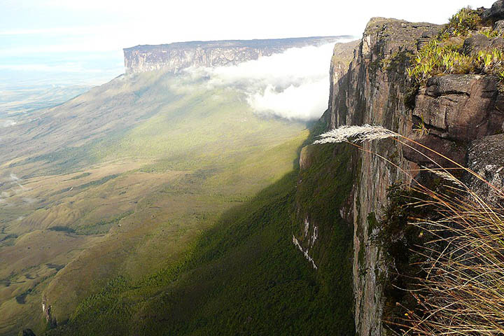 Considerado um tepui — termo tradicional do povo pemón associado à ideia de “morada dos deuses” —, o maciço foi fragmentado pela erosão ao longo de eras geológicas e deu origem a montanhas de topo plano isoladas como verdadeiras ilhas rochosas.