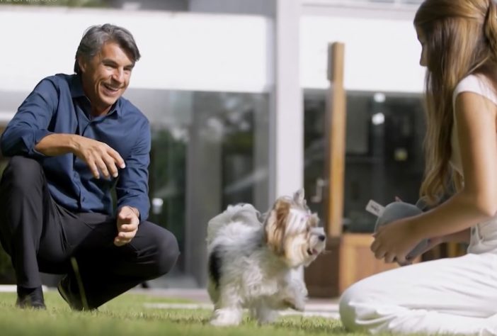 Após adotar cachorra, empresário cria tapete higiênico biodegradável para pets e projeta faturar R$ 2 milhões - Reprodução/TV Globo