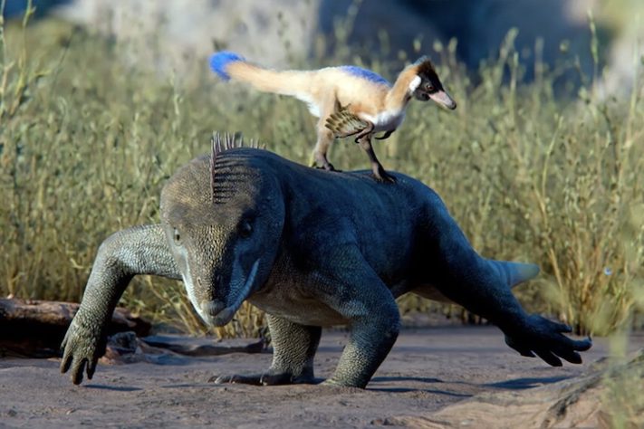 Dinossauro com menos de 1 kg achado na Argentina muda o que se sabe sobre a era dos gigantes – Reprodução/Gabriel Díaz Yantén, Universidad Nacional de Río Negro