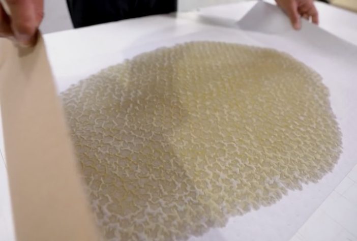 Após adotar cachorra, empresário cria tapete higiênico biodegradável para pets e projeta faturar R$ 2 milhões - Reprodução/TV Globo