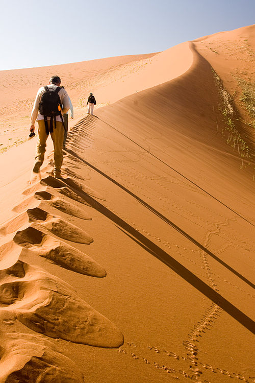 O Sossusvlei fica a cerca de cinco horas de carro da capital Windhoek, e muitos viajantes optam por alugar veículos quatro por quatro para enfrentar as estradas remotas. Empresas locais oferecem voos até Sesriem, mas mesmo dentro do parque as atrações estão separadas por grandes distâncias. Assim, o isolamento reforça o caráter de aventura.