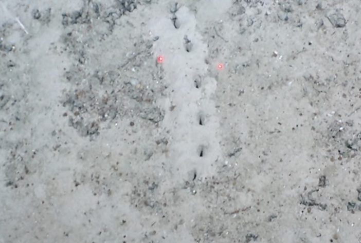 Cientistas encontram fileiras de buracos perfeitamente alinhados no fundo do oceano - Reprodução/NOAA