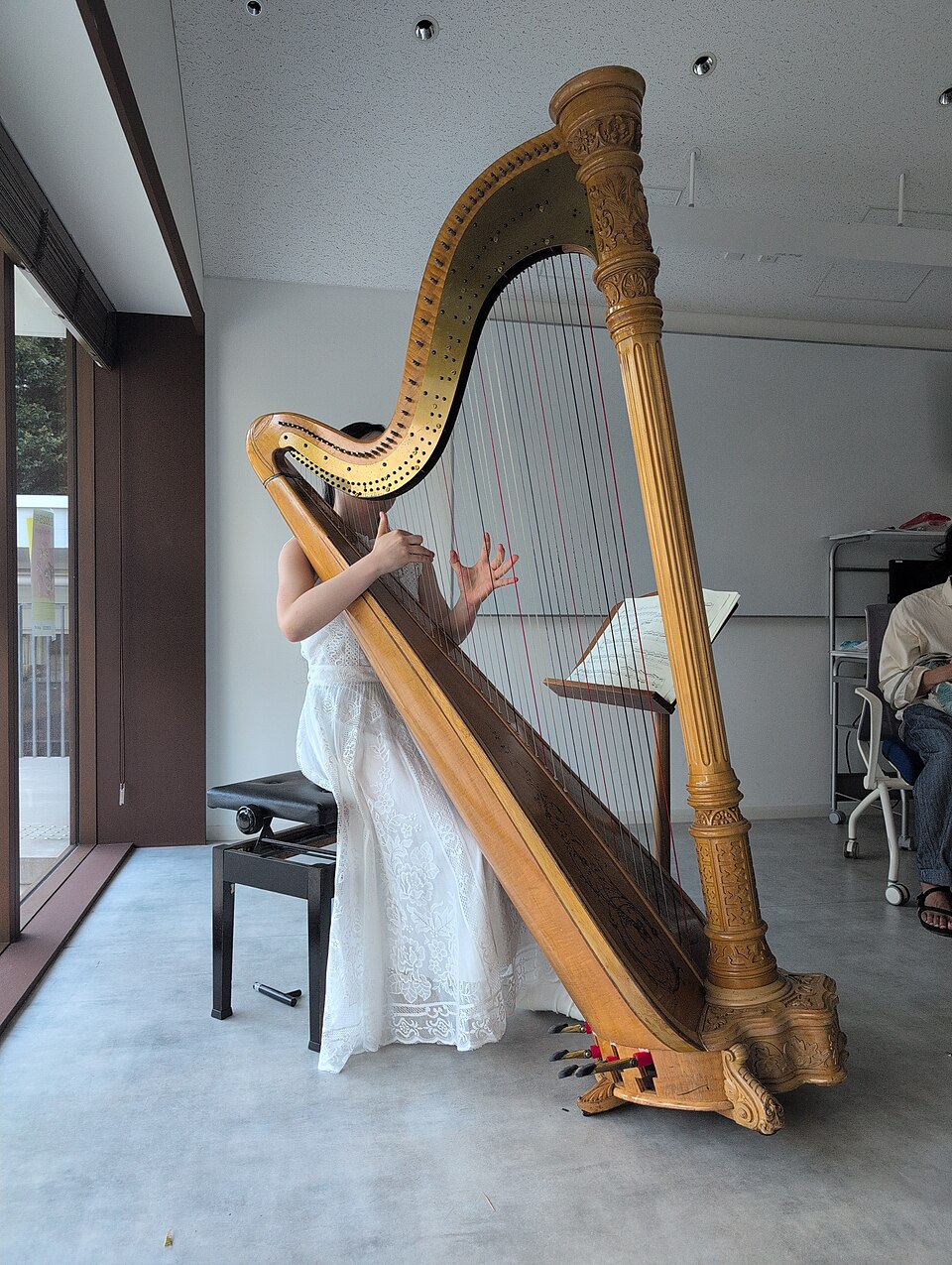 A harpa é um dos instrumentos mais antigos da história da música e encanta por sua sonoridade delicada e aparência marcante. Presente em diferentes culturas desde a Antiguidade, atravessou os séculos e se tornou um símbolo da música e da arte. Conheça sua origem, evolução e a importância que mantém até hoje. -  (crédito: Syced  wikimedia commons )