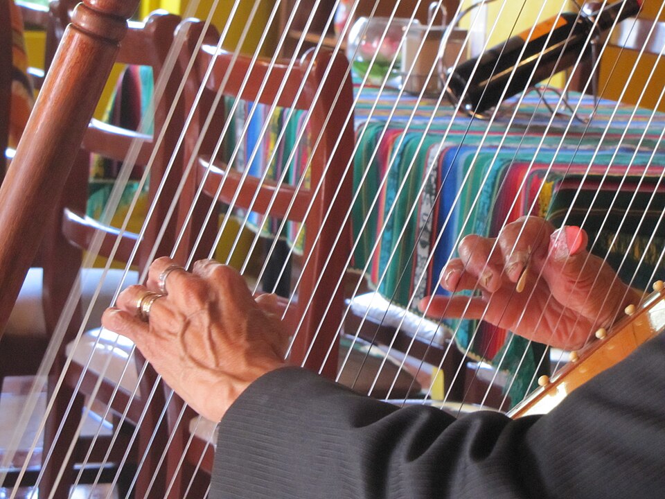 O estudo da harpa exige disciplina e dedicação, mas também desenvolve sensibilidade musical. Conservatórios e escolas de música oferecem formação específica, garantindo a continuidade dessa tradição.