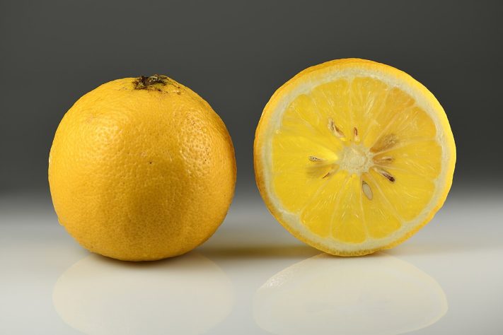 Bergamota (Citrus bergamia) - Wikimedia Commons/Ivar Leidus