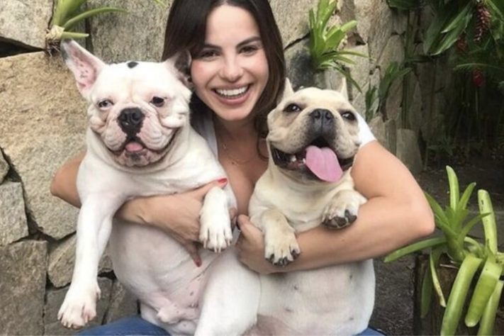 Cachorros de Sthefany Brito sofrem ataque de porco-espinho – Reprodução/Instagram