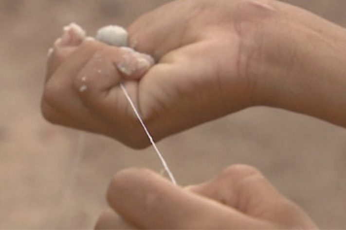 Cerol – Reprodução