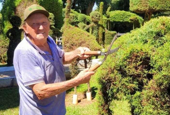 Victor Graeff - Município do interior do Rio Grande do Sul ganhou fama por ter praça com mais de 200 esculturas em árvores feitas por jardineiro de 89 anos | Reprodução @toninaestrada