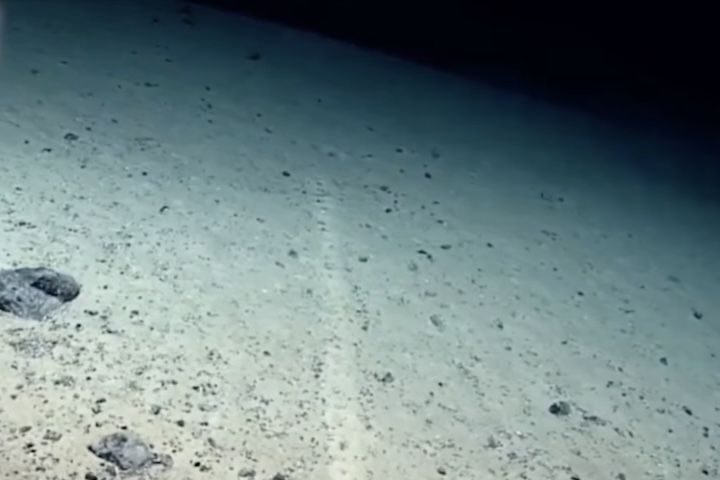 <p>O rastro foi encontrado na chamada “Dorsal Mesoatlântica” (ou cordilheira mesoatlântica), próxima aos Açores, que fica localizada a cerca de 2.540 metros de profundidade.</p>
