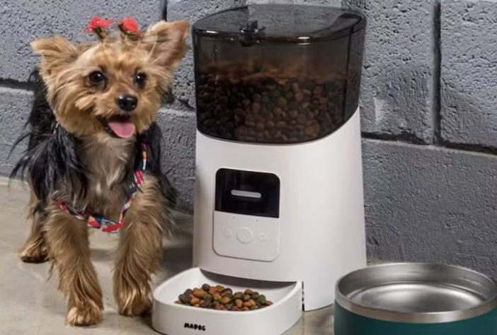 Comedouro automático para cachorros - Divulgação/Madog