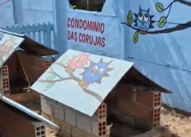 Comunidade cria curioso “Condomínio das Corujas” em bairro de Rondônia