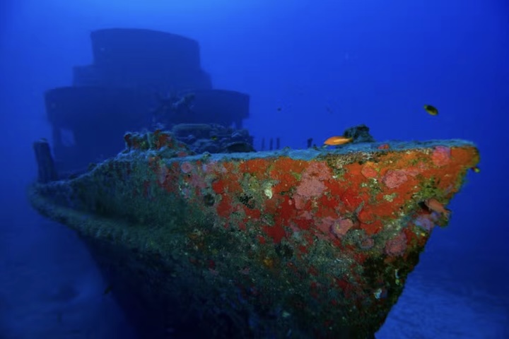 <p>A região abriga mais de 230 espécies de peixes, corais e naufrágios como o da Corveta Ipiranga. As águas quentes, influenciadas pela Corrente Sul Equatorial, mantêm temperatura média de 26 °C durante todo o ano, favorecendo mergulhos com excelente visibilidade.</p>
