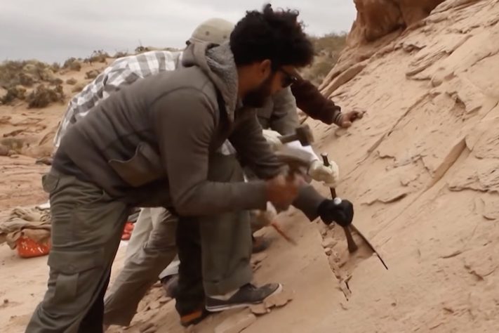 Descoberta revela fósseis de dinossauros na Patagônia argentina - Reprodução/ABS-CBN News