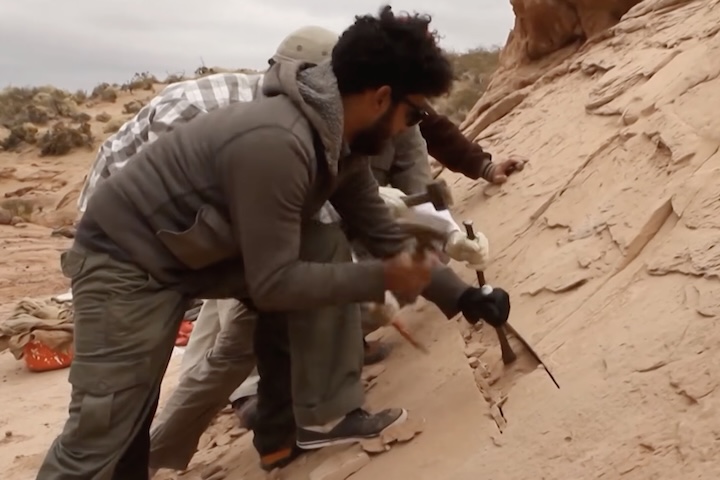 <p>A pesquisa também reavaliou fósseis de coleções na América do Norte e na Europa, indicando que os alvarezsaurídeos surgiram antes do que se pensava, ainda na época do supercontinente Pangeia.</p>
