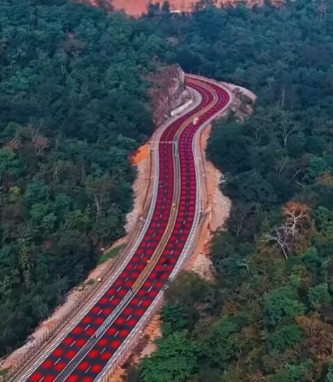 <p>A estrutura também conta com 25 passagens subterrâneas e cercas laterais que conduzem a fauna a travessias seguras. Câmeras movidas a energia solar monitoram o tráfego e o comportamento dos animais.</p>
