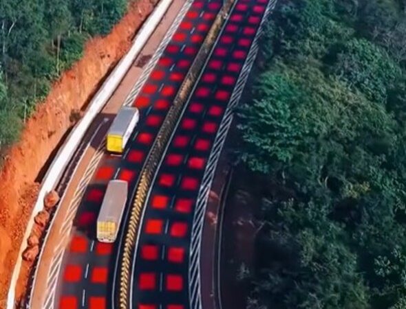 Índia inaugura estrada vermelha criada para proteger animais silvestres