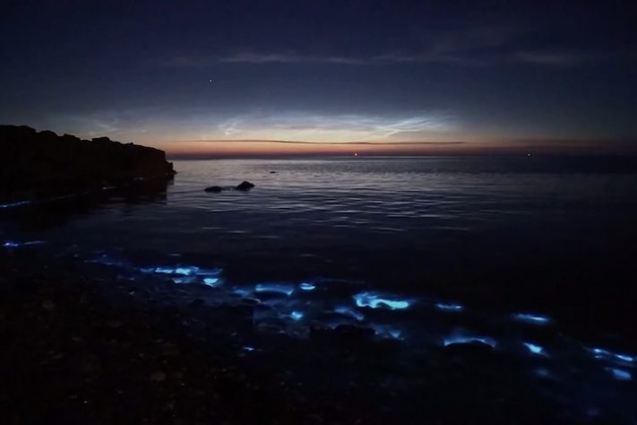 Fenômeno natural faz água do mar brilhar na Ilha Vaadhoo, nas Maldivas - Reprodução 