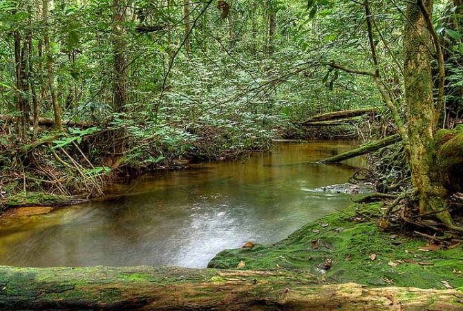 Lençol freático: o que é, características e quais tipos de poluição são os mais perigosos