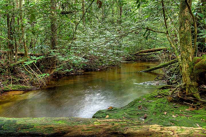 Lençol Freático - Divulgação