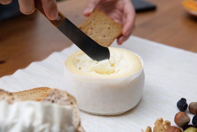 Creme de ricota, cream cheese ou requeijão, qual é mais saudável? Entenda as diferenças