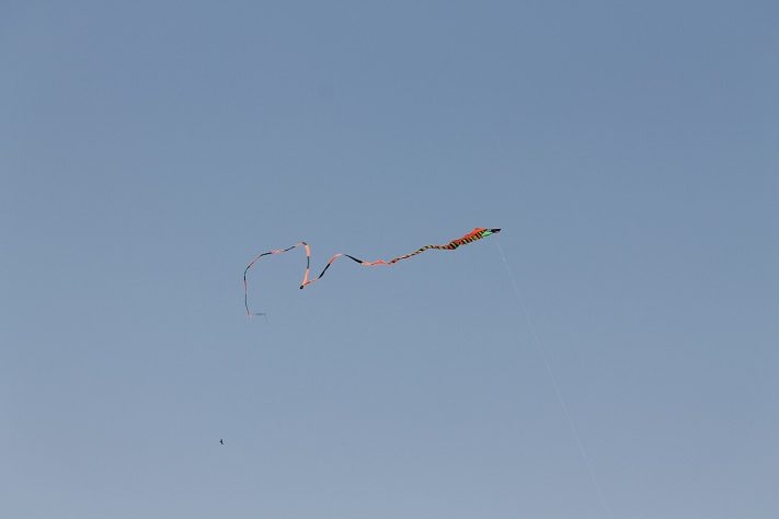 Pipa – Wikimedia Commons/Shailya