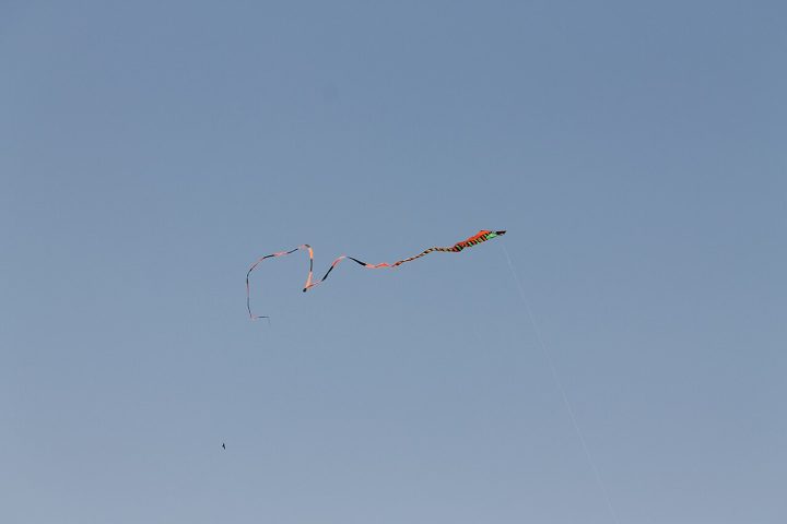 <p>As primeiras pipas serviam para medições de distância, testes de vento, comunicação militar e até experimentos científicos.</p>
