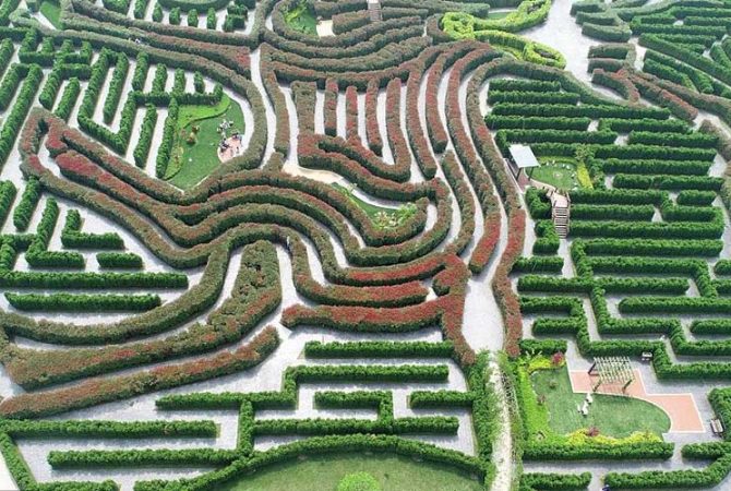 Maior jardim-labirinto do mundo pede passagem: os desafios do Dream Maze