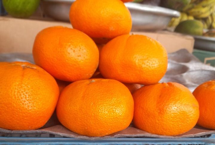 <p>Já a morgote também pertence ao grupo das tangerinas, mas apresenta algumas diferenças em relação à ponkan. Ela costuma ser menor, com casca mais fina e mais aderida à polpa, o que a torna um pouco mais difícil de descascar.</p>
