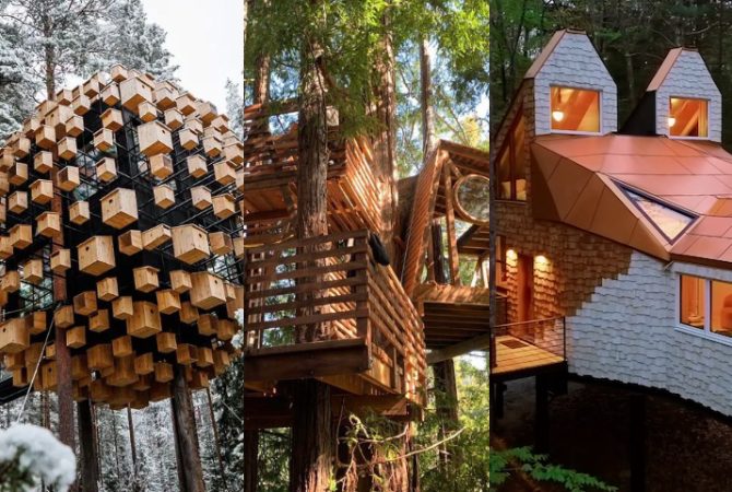 Livro lista algumas das casas na árvore mais impressionantes do mundo; confira!