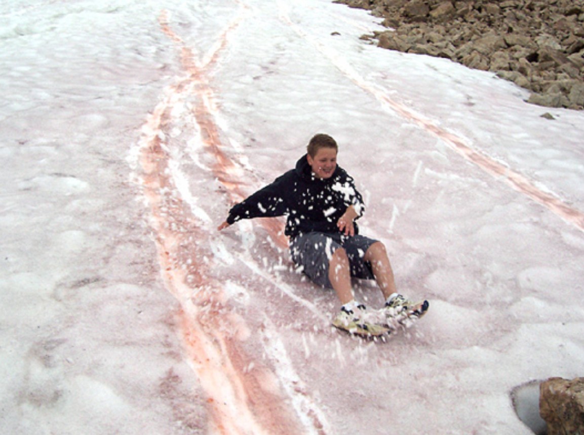 Ainda segundo especialistas, o vermelho é a cor mais comum do fenômeno, mas também existem outros tipos de algas que vivem no gelo e podem “tingir” a neve com outras cores, como verde, roxo e laranja. Elas não representam risco para quem entra em contato, pois não são prejudiciais à saúde humana.