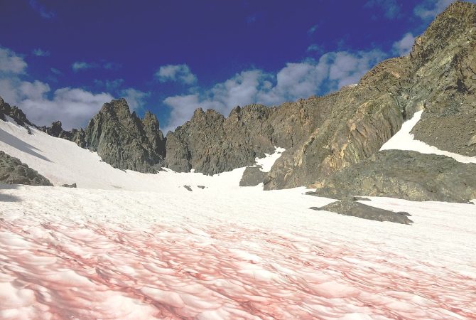 “Neve de Melancia”: Saiba mais sobre o fenômeno que deixa a vermelha