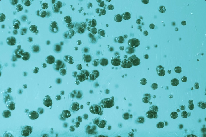 <p>O termo plâncton não se refere a uma única espécie, mas sim a um conjunto de organismos microscópicos que vivem suspensos na água e são levados pelas correntes marinhas, sem capacidade de nadar contra elas.</p>
