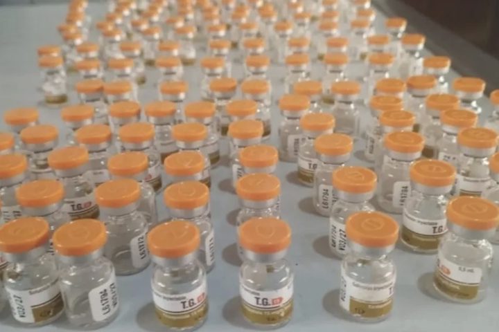 <p>Embora a fabricação seja permitida pela legislação paraguaia, esses produtos não são equivalentes ao original e entram no Brasil de forma ilegal, sem controle sanitário, transporte adequado ou garantia de eficácia e segurança.</p>
