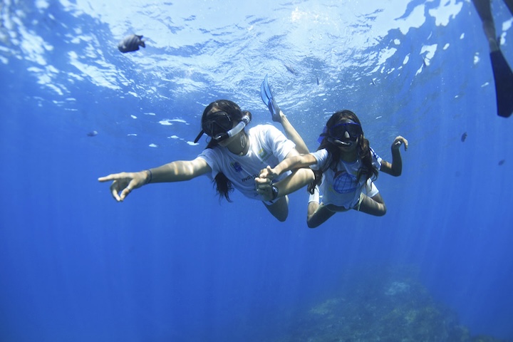 <p>O projeto não atua apenas no mar, mas também na comunidade. Ele promove oficinas, palestras e atividades com os moradores e as crianças da ilha para fortalecer a consciência ecológica.</p>
