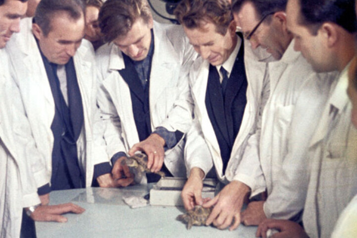 <p>A espaçonave também transportava moscas das frutas, vermes, plantas e um manequim com sensores de radiação. Segundo o livro Exploração Lunar Soviética e Russa, de Brian Harvey, a missão enfrentou problemas técnicos durante o trajeto.</p>
