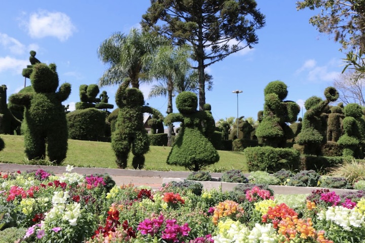 Sem dispor de ferramentas tecnológicas ou moldes, ele utilizou apenas sua imaginação e tesouras manuais para esculpir ciprestes — nome dado a uma grande variedade de espécies de coníferas —, começando com as figuras de uma águia e um leão.