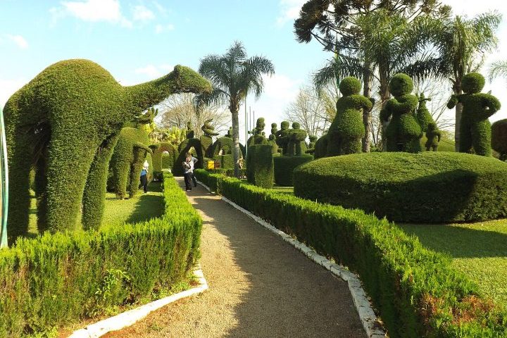 Seu Mírio é natural da região rural e começou a cuidar da praça logo após sua inauguração, em 1982. As poucas referências que tinha vinham de imagens de jardins europeus vistas em jornais e revistas.