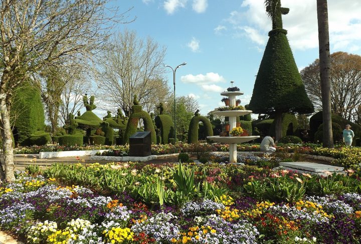 Um município do interior do Rio Grande do Sul ganhou fama por uma praça que conta com mais de 200 esculturas em árvores feitas por um jardineiro de quase 90 anos. Conheça essa história curiosa! -  (crédito: Panoramio - Larissa Fraga)