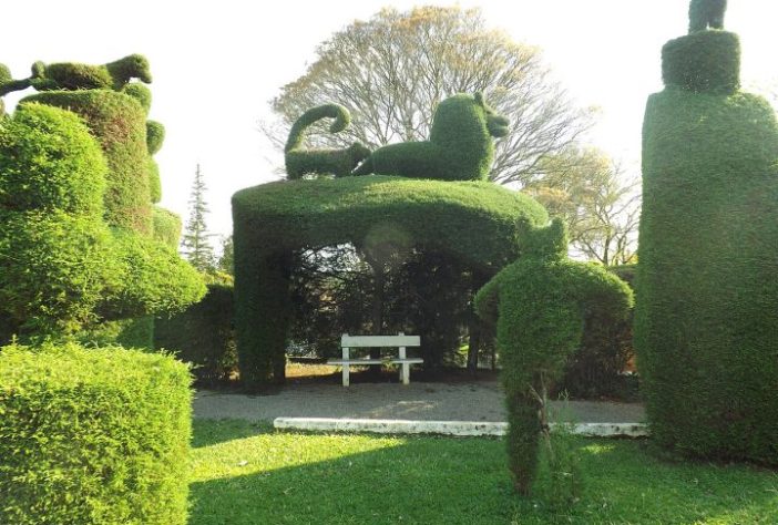 Victor Graeff - Município do interior do Rio Grande do Sul ganhou fama por ter praça com mais de 200 esculturas em árvores feitas por jardineiro de 89 anos | Panoramio - Larissa Fraga