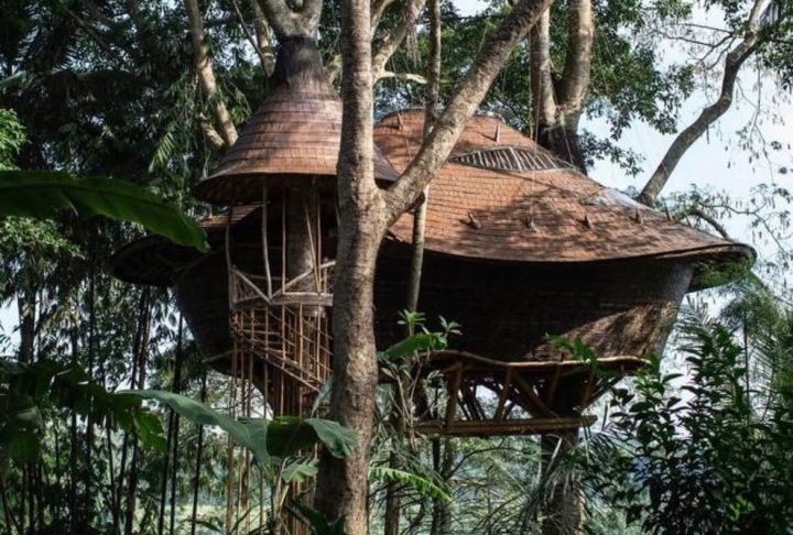 Essa casa na árvore, construída quase inteiramente em bambu, tem pisos que se elevam e se transformam em paredes contínuas e um telhado que parece flutuar sobre as copas.