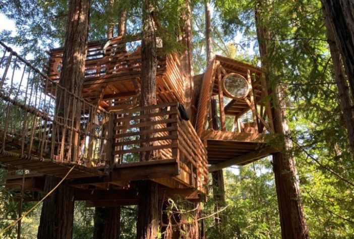 Casa da árvore Loma Mar (Califórnia, Estados Unidos) – Reprodução @jaynelsonstudio