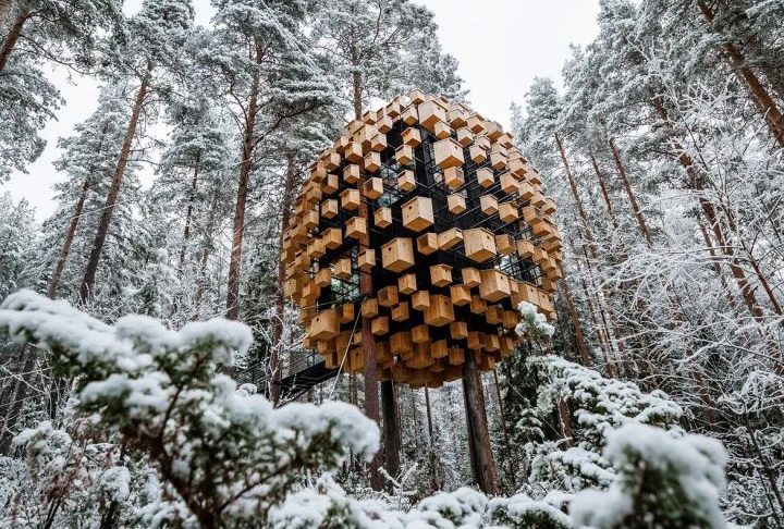 Uma casa de vidro que parece suspensa entre os troncos e abriga cerca de 350 ninhos, atraindo aves, morcegos e abelhas. A estrutura faz parte do Treehotel, um complexo com diferentes casas na árvore localizado na Lapônia sueca.