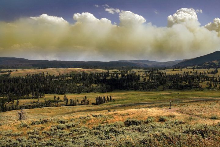 <p>A criação do parque ocorreu quando exploradores, cientistas e artistas que visitaram a região no século 19 divulgaram relatos e imagens das paisagens extraordinárias que encontraram.</p>
