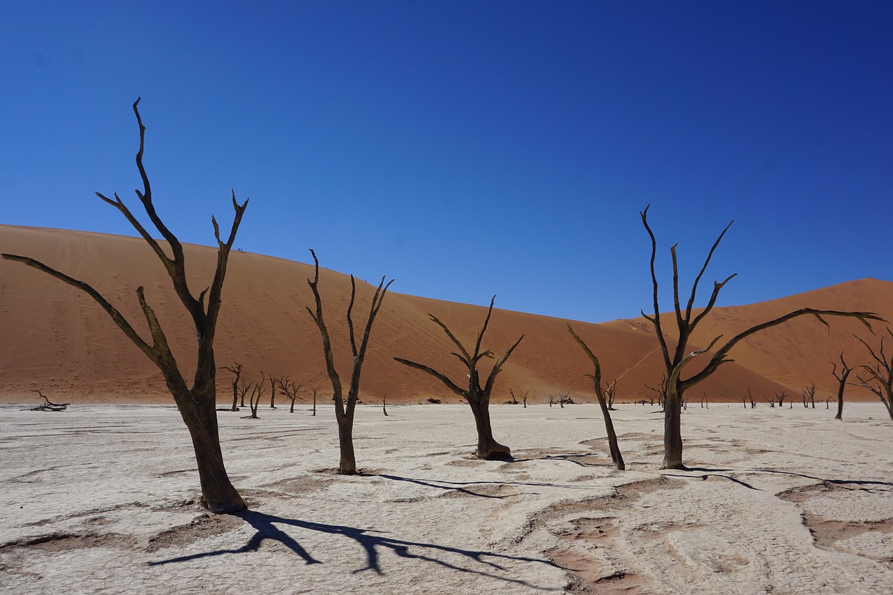O Deserto do Namibe (ou da Namíbia) é considerado o mais antigo do planeta, com cerca de 55 milhões de anos. O tom alaranjado da areia é a prova do tempo, já que quanto mais antiga a duna, mais intensa é sua cor. Assim, caminhar por Sossusvlei é também percorrer milhões de anos de história geológica.