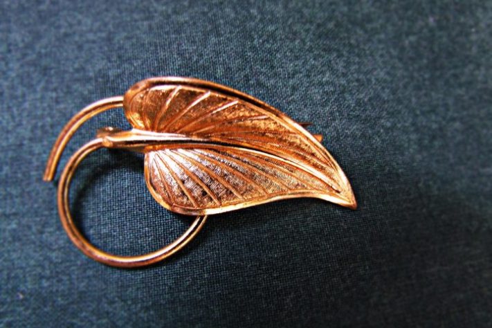 Broches - Katarzyna/Pixabay