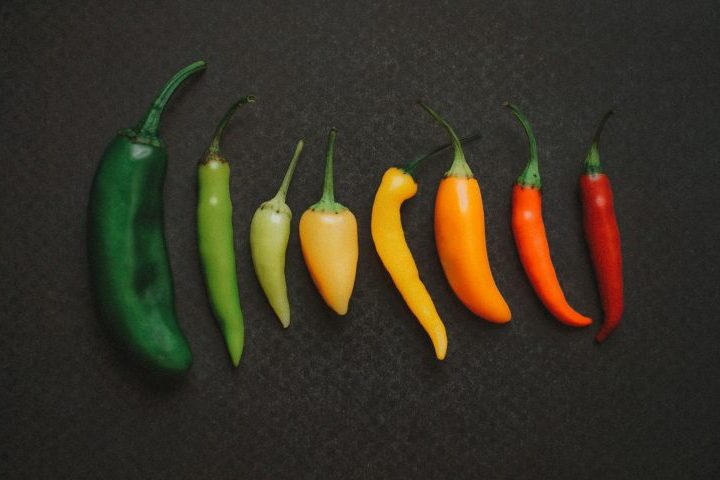 Apesar de ser feita de variedades do mesmo grupo botânico das pimentas, a páprica costuma ter uma ardência menor. A maior diferença entre elas vem do processo de seleção dos frutos e na intensidade do calor.